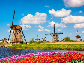 荷蘭農業有多強？面積只比台灣大一點，如何養活大半個歐洲...荷蘭人靠「1招」創造經濟奇蹟